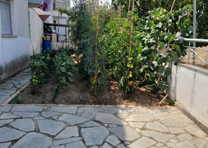 Dominikis Tatil Evi *